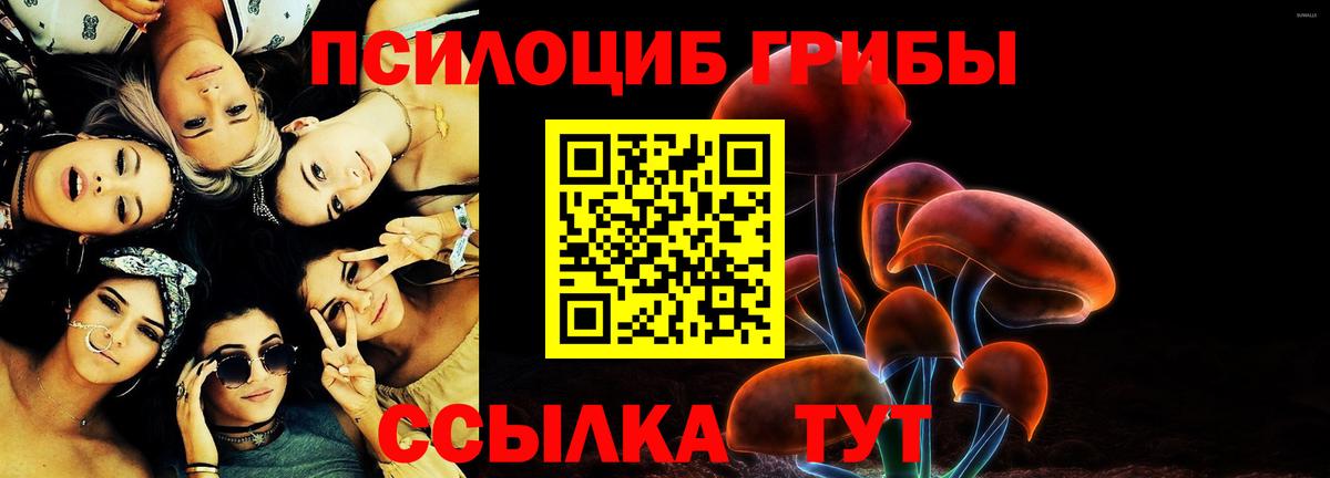 Галлюциногенные грибы мухоморы  купить закладку  Тобольск  Вход с VPN 